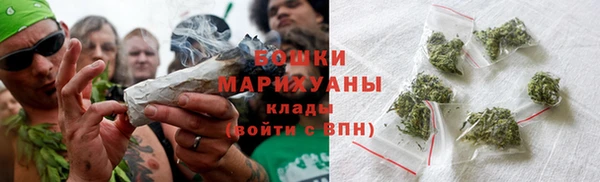 шишки Аркадак