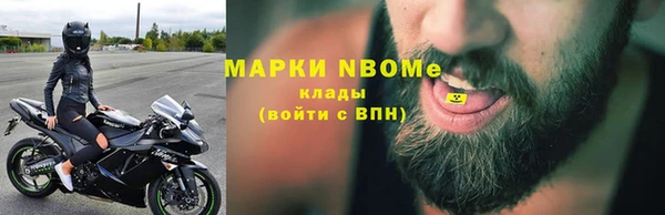 шишки Аркадак
