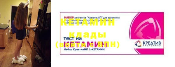 шишки Аркадак