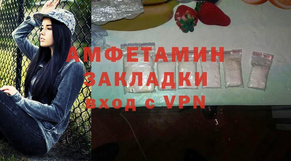 шишки Аркадак