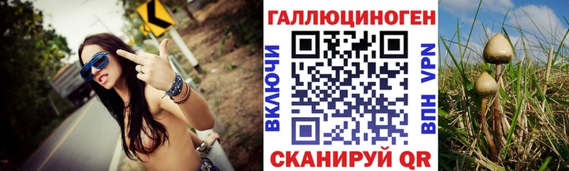 Галлюциногенные грибы мицелий маркетплейс какой сайт Наволоки где купить наркотик